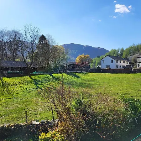 Meadow View